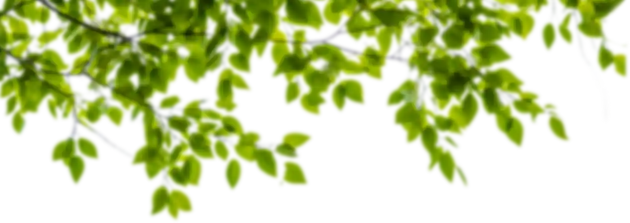 vegetation